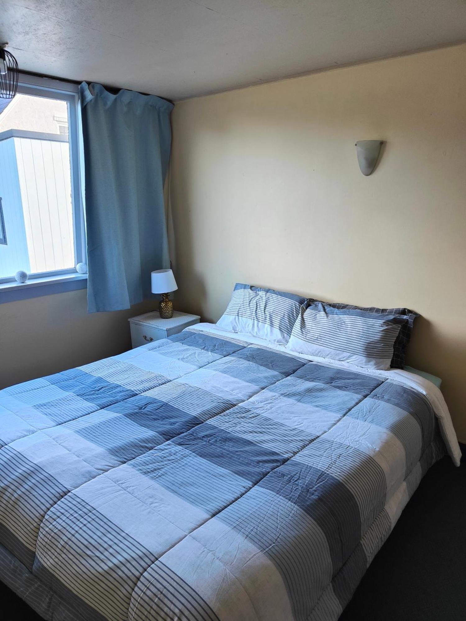 Auberge de jeunesse Manor House Backpackers à Dunedin Extérieur photo